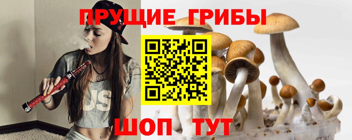 Галлюциногенные грибы Cubensis  Вход с VPN  Балахна  Галлюциногенные грибы мицелий 
