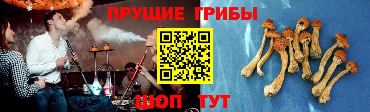 Галлюциногенные грибы мицелий Балахна
